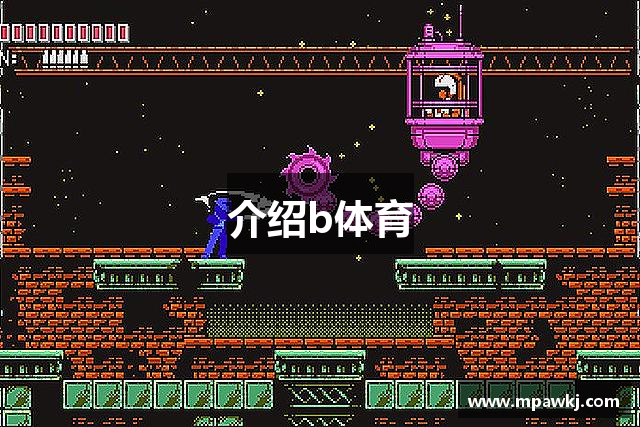 介绍b体育